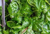 Scrumptious 5-Minute Dinner Salad