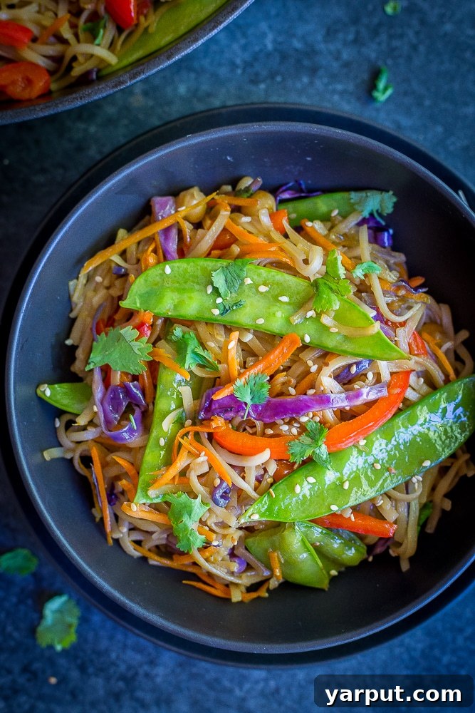 Flavor-Packed 30-Minute Sesame Ginger Veggie Noodles 3 A close-up shot of the vibrant 30 Minute Sesame Ginger Noodles with mixed vegetables and chickpeas, garnished with fresh cilantro and sesame seeds, showcasing a healthy and quick vegan meal option.