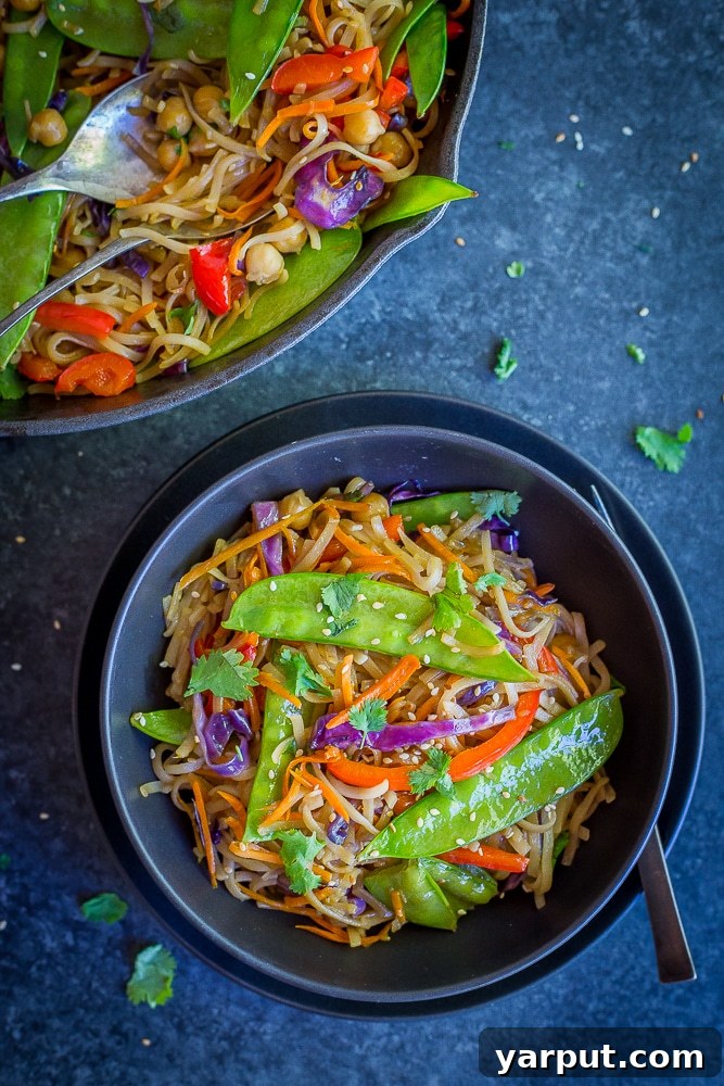 Flavor-Packed 30-Minute Sesame Ginger Veggie Noodles 6 A beautifully plated serving of 30 Minute Sesame Ginger Noodles, garnished with fresh cilantro, ready to be enjoyed as a wholesome and quick Asian-inspired vegan dinner.