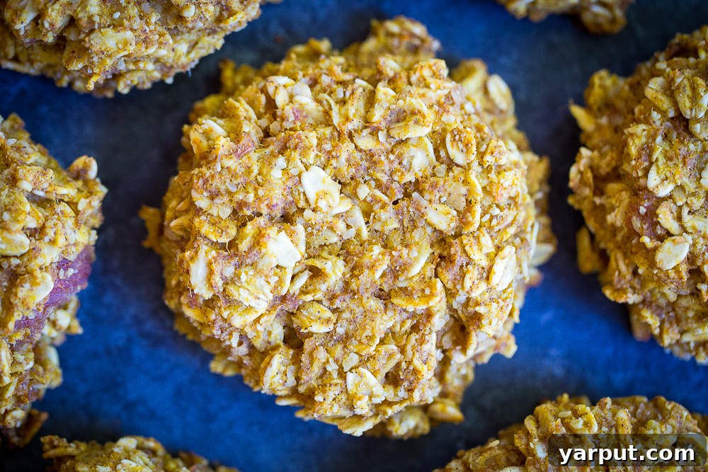 6 Healthy Naturally Sweetened Breakfast Cookie Ideas 12 Pumpkin Orange Naturally Sweetened Breakfast Cookies