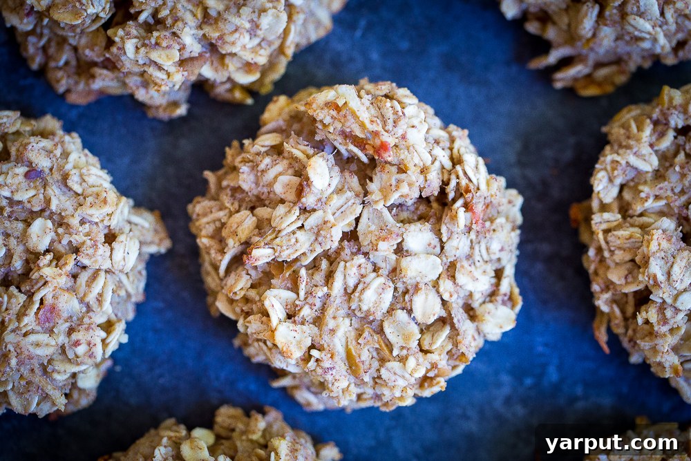6 Healthy Naturally Sweetened Breakfast Cookie Ideas 14 Apple Cinnamon Naturally Sweetened Breakfast Cookies