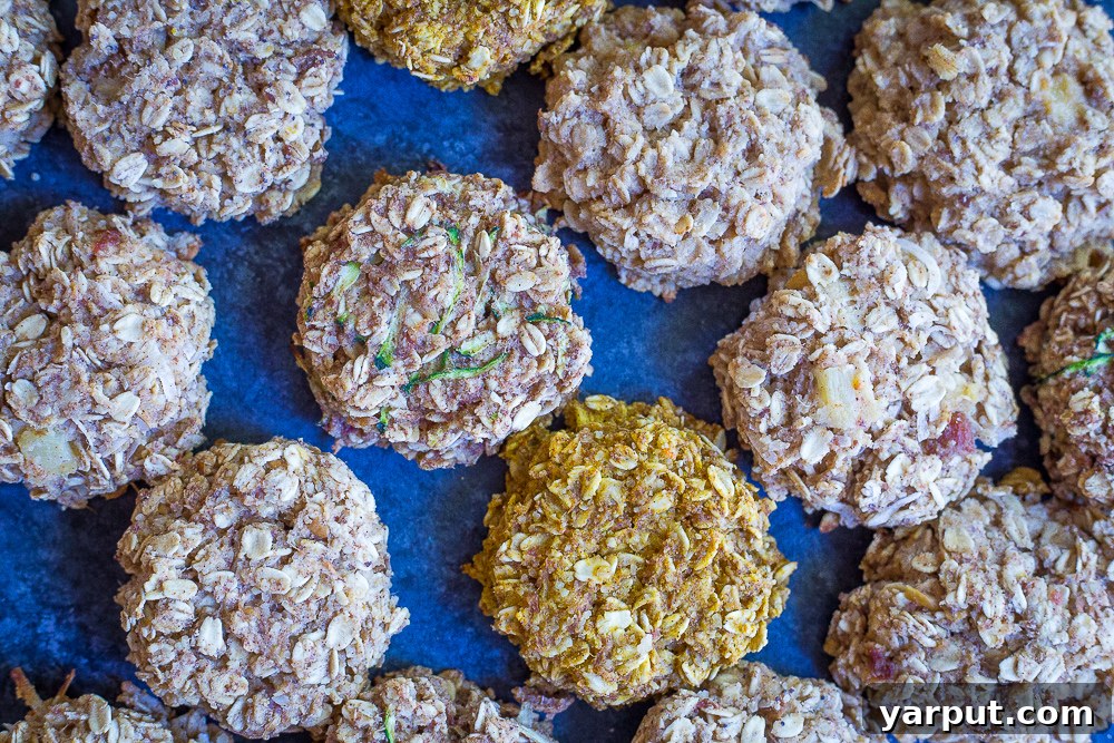 6 Healthy Naturally Sweetened Breakfast Cookie Ideas 3 Variety of naturally sweetened breakfast cookies arranged beautifully