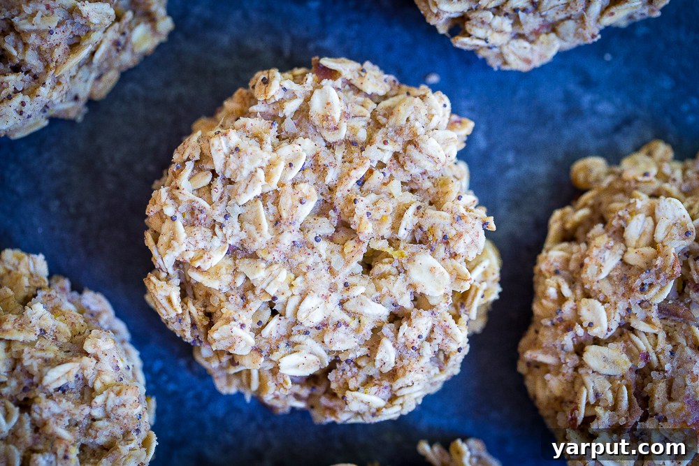 6 Healthy Naturally Sweetened Breakfast Cookie Ideas 4 Lemon Poppyseed Naturally Sweetened Breakfast Cookies