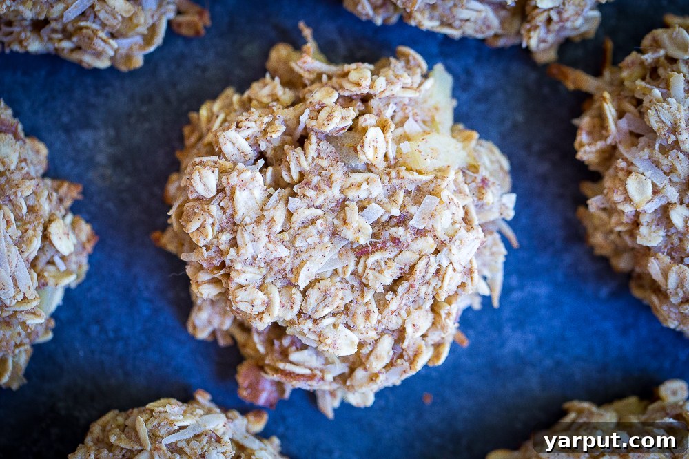 6 Healthy Naturally Sweetened Breakfast Cookie Ideas 8 Pineapple Coconut Naturally Sweetened Breakfast Cookies