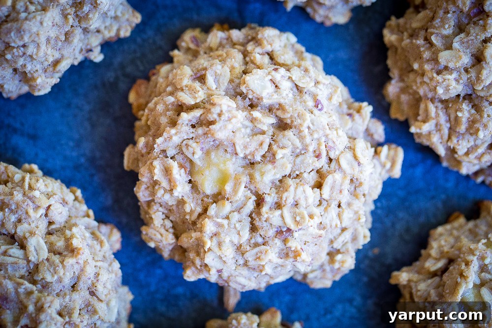 6 Healthy Naturally Sweetened Breakfast Cookie Ideas 10 Peanut Butter Banana Naturally Sweetened Breakfast Cookies