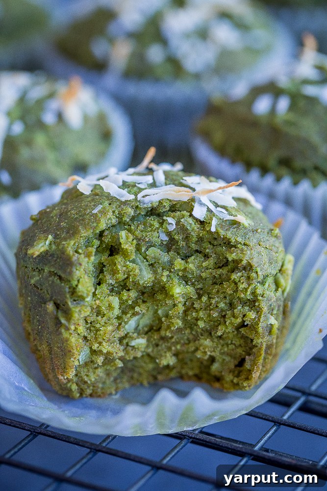 Vibrant Coconut Kale Vegan Muffins 3 A close-up of a single coconut kale green muffin, showcasing its vibrant color and tender crumb, dusted with shredded coconut.