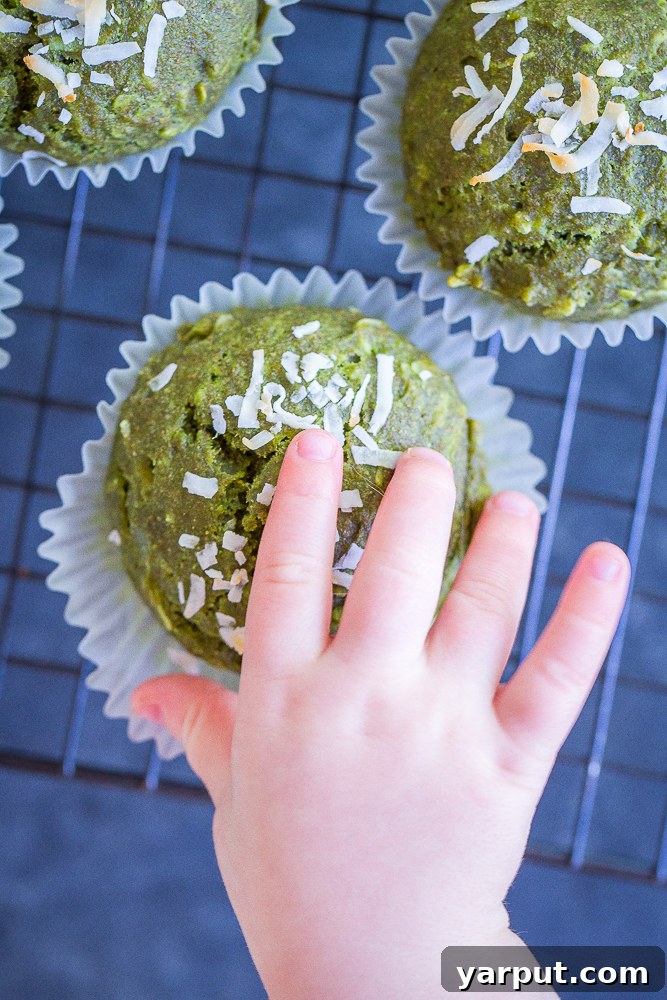 Vibrant Coconut Kale Vegan Muffins 4 Freshly chopped kale and other muffin ingredients laid out on a kitchen counter, ready for blending and baking.