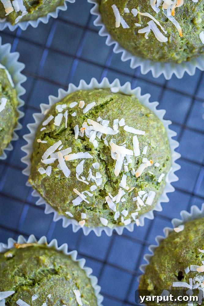 Vibrant Coconut Kale Vegan Muffins 5 A tray of freshly baked coconut kale green muffins, cooling on a rack, ready to be served.