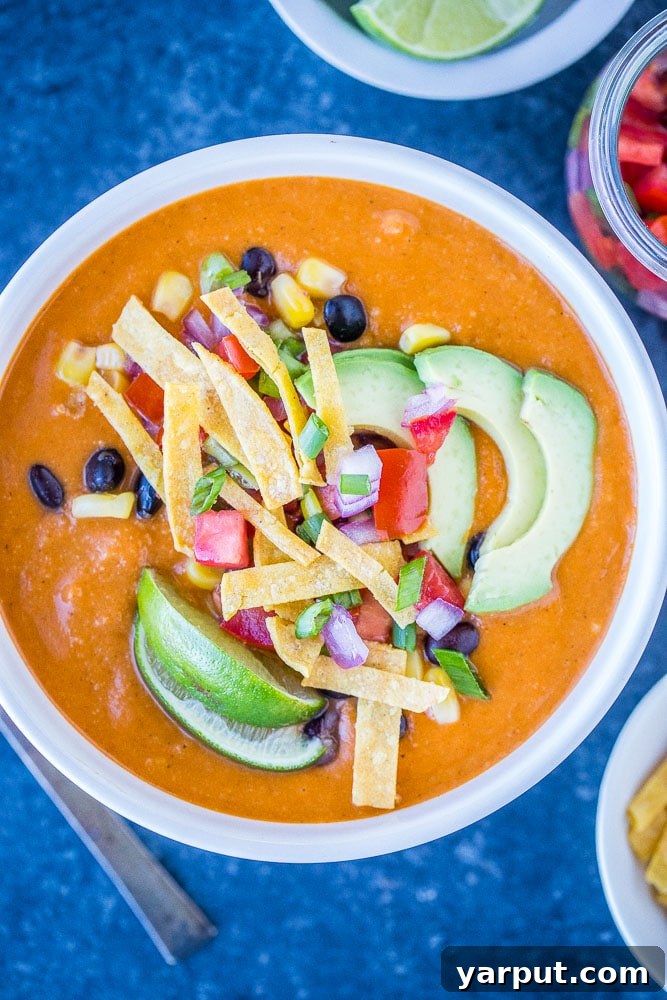 35 Wholesome Plant Based Gluten Free Dinner Recipes 37 Delicious Vegetarian Tortilla Soup with crispy toppings.