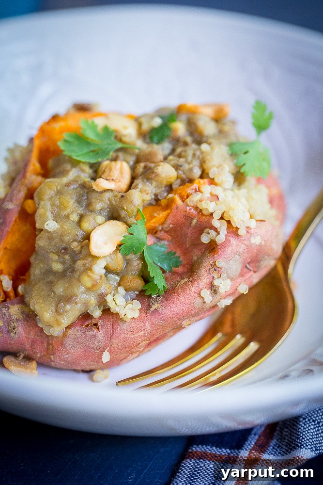 Sweet Potato Bowls with Curried Lentil Quinoa 5 Stuffed sweet potato close-up, showcasing quinoa and lentil filling with fresh cilantro