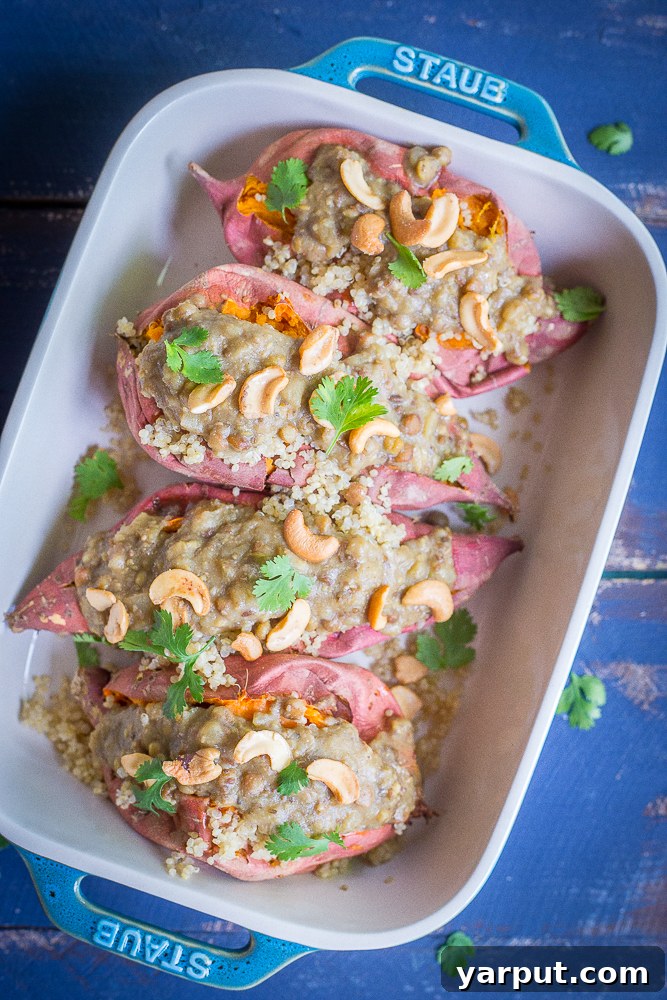 Sweet Potato Bowls with Curried Lentil Quinoa 6 Final plated Curried Lentil Quinoa Stuffed Sweet Potatoes, garnished with cilantro and cashews
