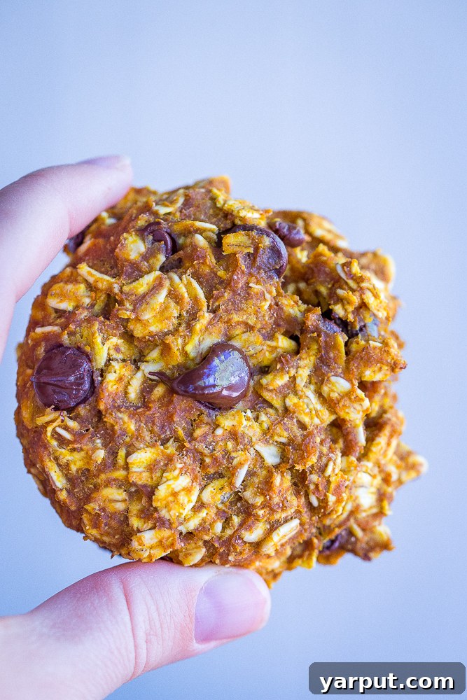 Guilt-Free Pumpkin Chocolate Chip Oat Cookies 3 Close-up of a stack of pumpkin chocolate chip oatmeal cookies, showing their soft texture and embedded chocolate chips, with a warm fall aesthetic.