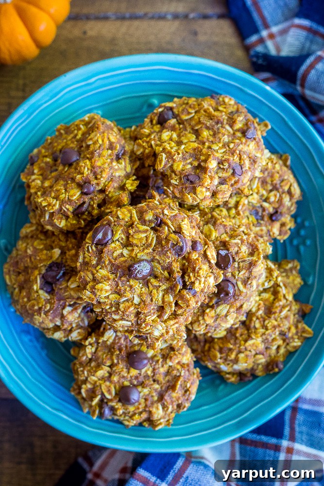 Guilt-Free Pumpkin Chocolate Chip Oat Cookies 4 A close-up shot of a single healthy pumpkin chocolate chip oatmeal cookie, showing its warm color and soft texture, ready to be enjoyed.