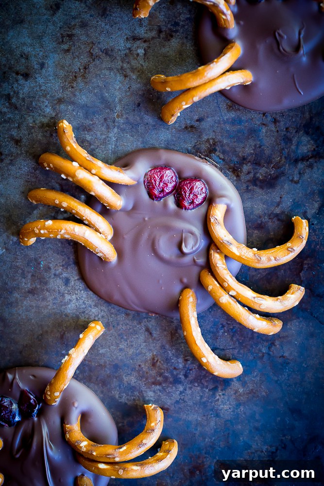 Quick and Spooky Chocolate Bark Spiders 3 Close-up of a finished 3-Ingredient Chocolate Bark Spider, ready for a Halloween party. Features dairy-free chocolate, pretzels, and dried cranberries.