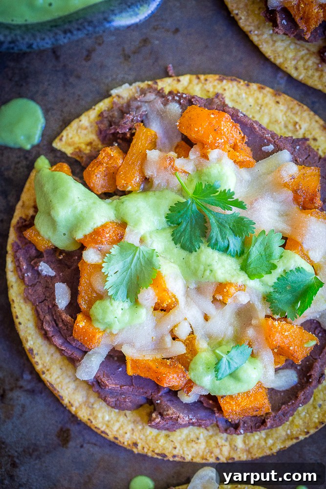 An aerial view of an assembled Roasted Butternut Squash Tostada with Avocado Lime Sauce, beans, and cheese on a white background, highlighting the fresh and healthy ingredients of this easy vegan fall dinner.
