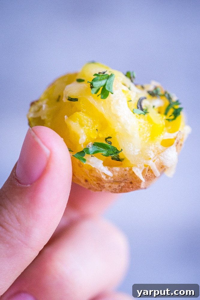 Creamy Garlic Herb Twice-Baked Baby Potatoes 3 Close-up of Garlic and Herb Twice-Baked Baby Potatoes, showing creamy filling and golden skins.