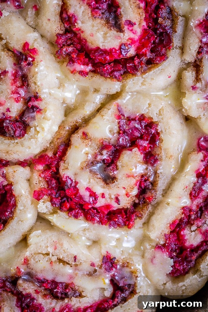 Zesty Gluten-Free Orange Cranberry Cinnamon Swirls 5 Glazed Gluten-Free Orange Cranberry Cinnamon Rolls on a baking sheet, ready to be served.