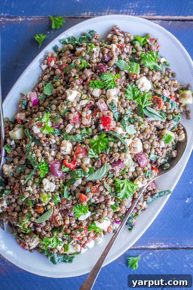 Vibrant Mediterranean Lentil Salad 2 This Mediterranean Lentil Salad is a healthy and filling salad that's so easy to make! It's great for a side dish or lunch! Gluten free and vegetarian!
