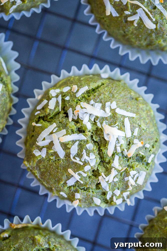 Top 10 Reader Favorite Recipes of 2017 11 Green muffins made with coconut and kale, healthy and vegan.