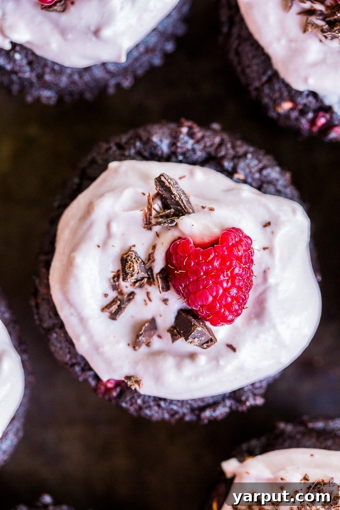 Guilt Free Gluten Free Vegan Chocolate Raspberry Cupcakes Naturally Sweetened 3 These Healthier Chocolate Cupcakes with Raspberries are made with healthy ingredients and packed with raspberries and beets to make them extra nutritious! They're also vegan, gluten free and refined sugar free! Perfect for dessert and great to bring to parties!