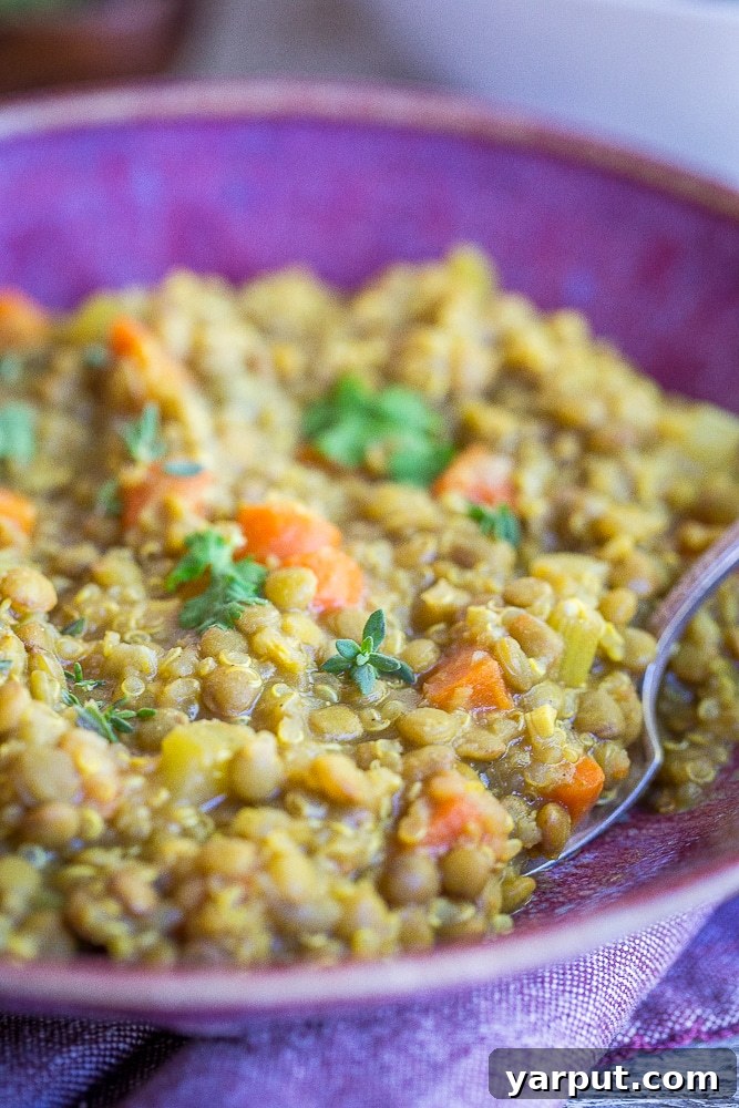 A close-up of Curried Lentil Quinoa Soup in a rustic bowl, highlighting the colorful blend of lentils, quinoa, and vegetables, infused with rich curry spices.
