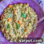 Curried Lentil Quinoa Soup with fresh herbs