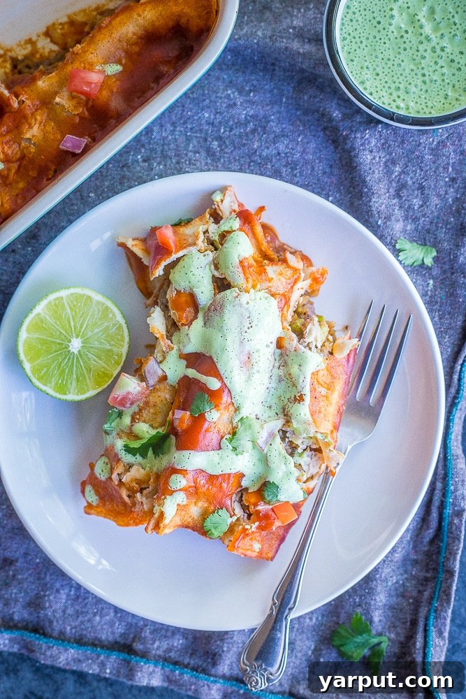Effortless Spaghetti Squash Black Bean Enchiladas 6 Close-up of a single Spaghetti Squash and Black Bean Enchilada garnished with cilantro and creamy sauce.