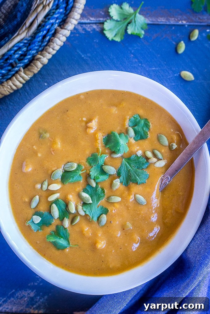 Fiesta Butternut and White Bean Soup 2 A vibrant bowl of creamy Southwestern Butternut Squash and White Bean Soup, garnished with fresh cilantro, ready to be enjoyed. Vegan and gluten-free.
