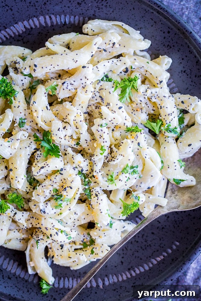 Close up of a plate of 30 Minute Creamy Goat Cheese Pasta with Everything Bagel Spice, showcasing the creamy texture.