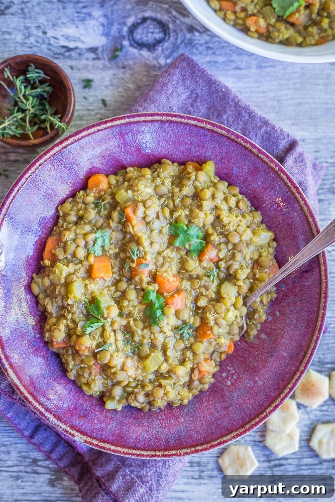 46 Mouthwatering Soy-Free Vegan Dinners 9 Curried Lentil Quinoa Soup, a wholesome and spicy vegan soup.