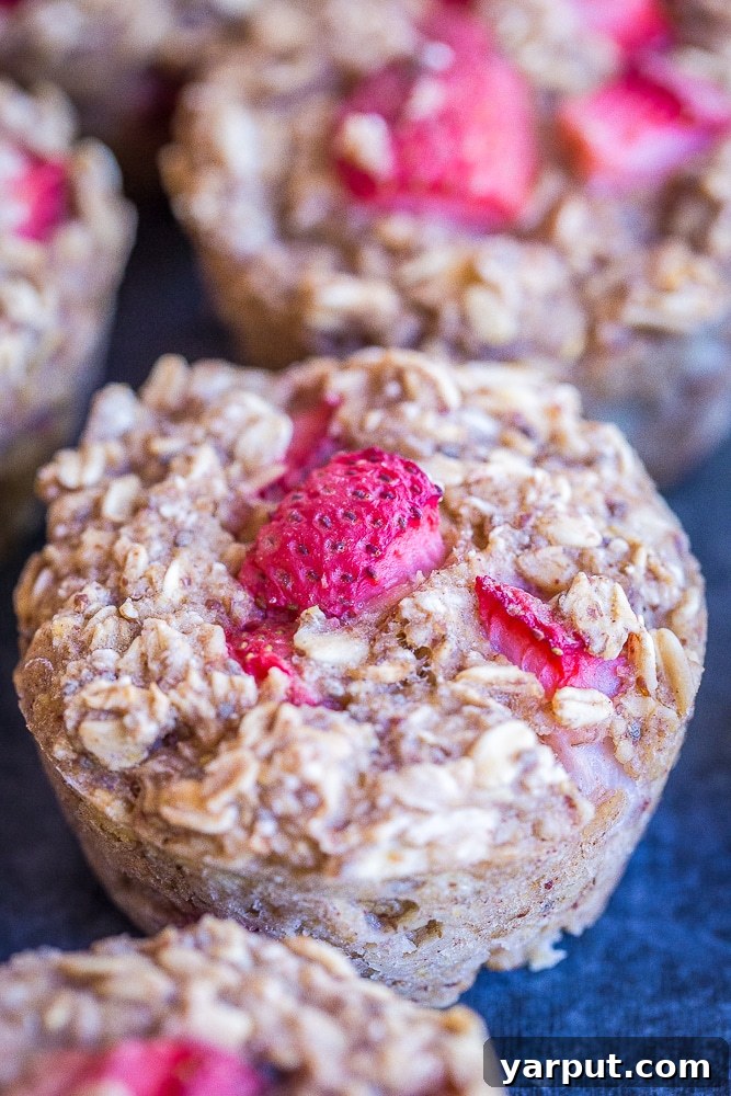 Wholesome Strawberry Banana Baked Oatmeal Cups 3 A close-up of golden brown strawberry banana baked oatmeal cups in a muffin tin, highlighting their delicious texture and inviting appearance.