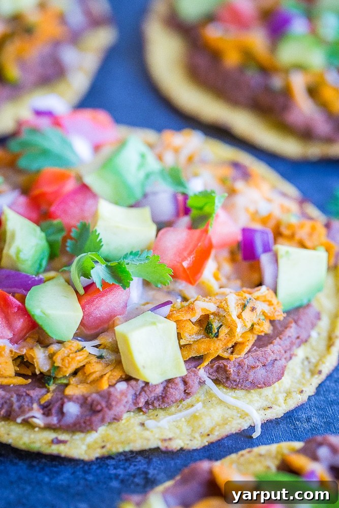 Quick and Colorful Sweet Potato Zucchini Tostadas 3 Front view of several 30 Minute Sweet Potato and Zucchini Tostadas, garnished with fresh herbs and a hint of lime