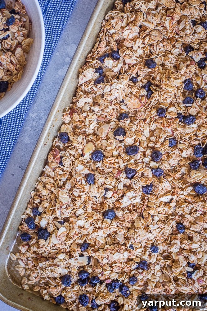 Artisan Blueberry Almond Granola 3 Freshly baked Blueberry Almond Granola spread out on a parchment-lined baking sheet, cooling.