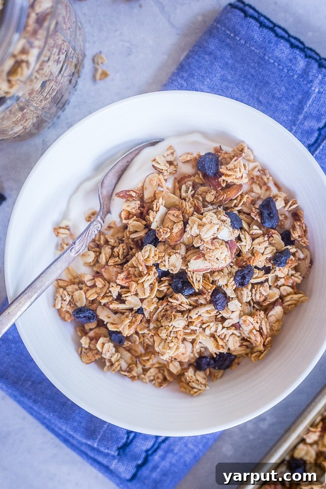 Artisan Blueberry Almond Granola 5 A vibrant bowl of Blueberry Almond Granola, rich with dried blueberries and toasted almonds, paired with yogurt.