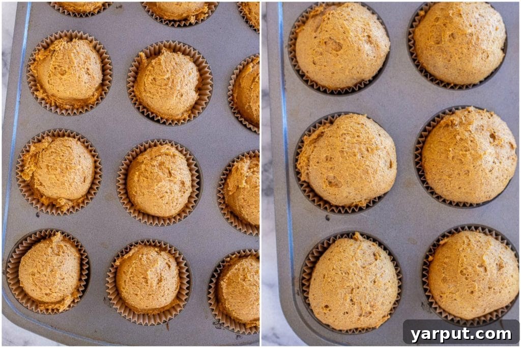 Wholesome Whole Wheat Pumpkin Muffins 4 A beautifully cut slice of healthy whole wheat pumpkin muffin revealing its moist, tender interior.