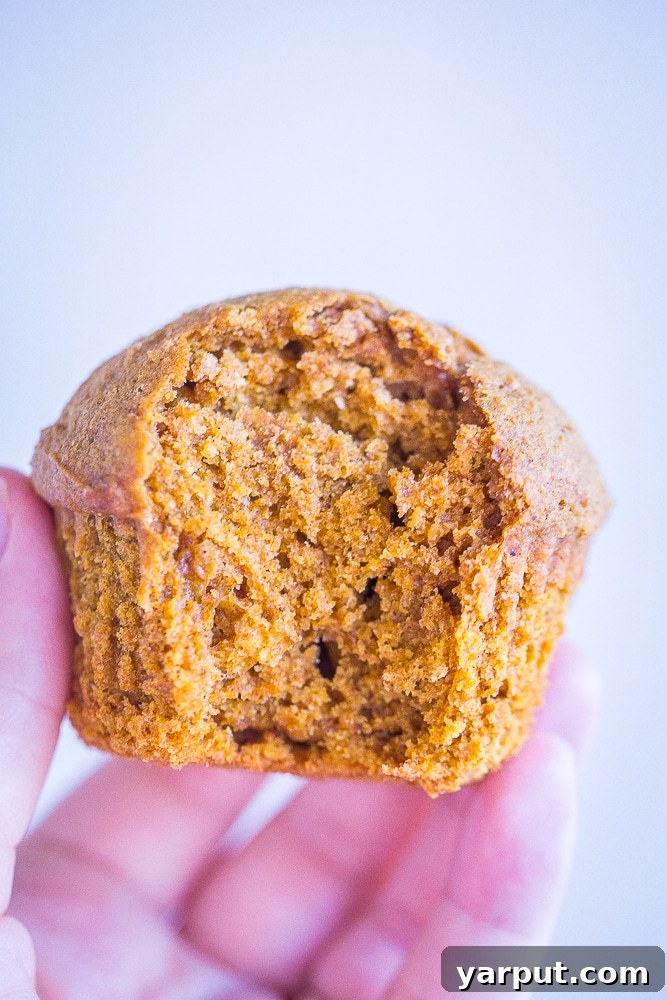 Wholesome Whole Wheat Pumpkin Muffins 6 A stack of Healthy Whole Wheat Pumpkin Muffins on a white plate, ready to be enjoyed.