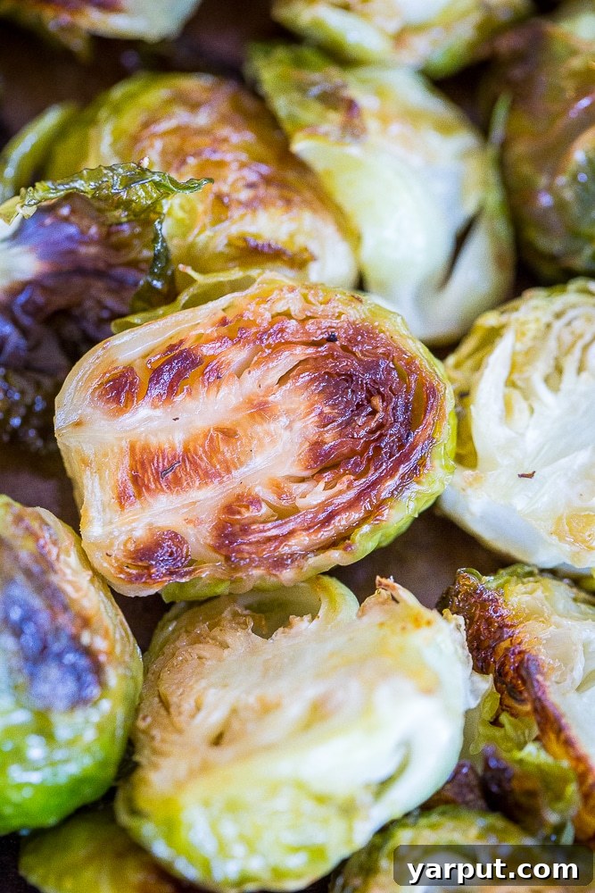 Simply Irresistible Roasted Brussels Sprouts 4 Close up of a perfectly caramelized roasted Brussels sprout, showing its crispy edges.