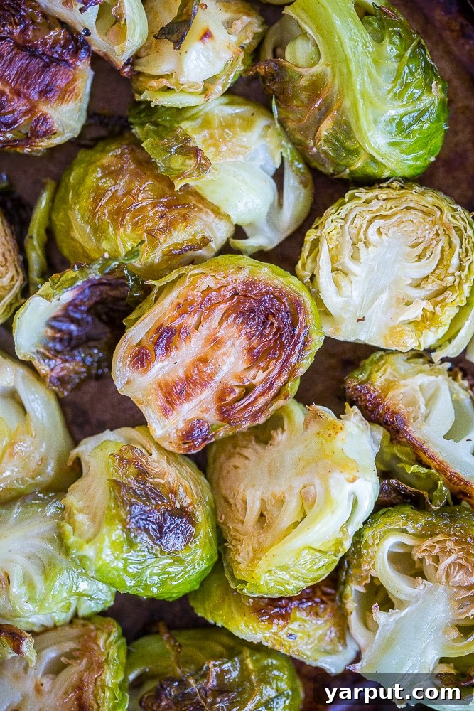 Simply Irresistible Roasted Brussels Sprouts 6 Close up of a pile of Best Simple Roasted Brussels sprouts, showing their crispy texture and golden-brown hue.