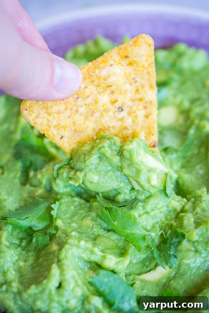 Perfect Guacamole Made Simple 4 A close-up of a crispy tortilla chip being dipped into The Best Easy Guacamole Recipe, showcasing its creamy texture.