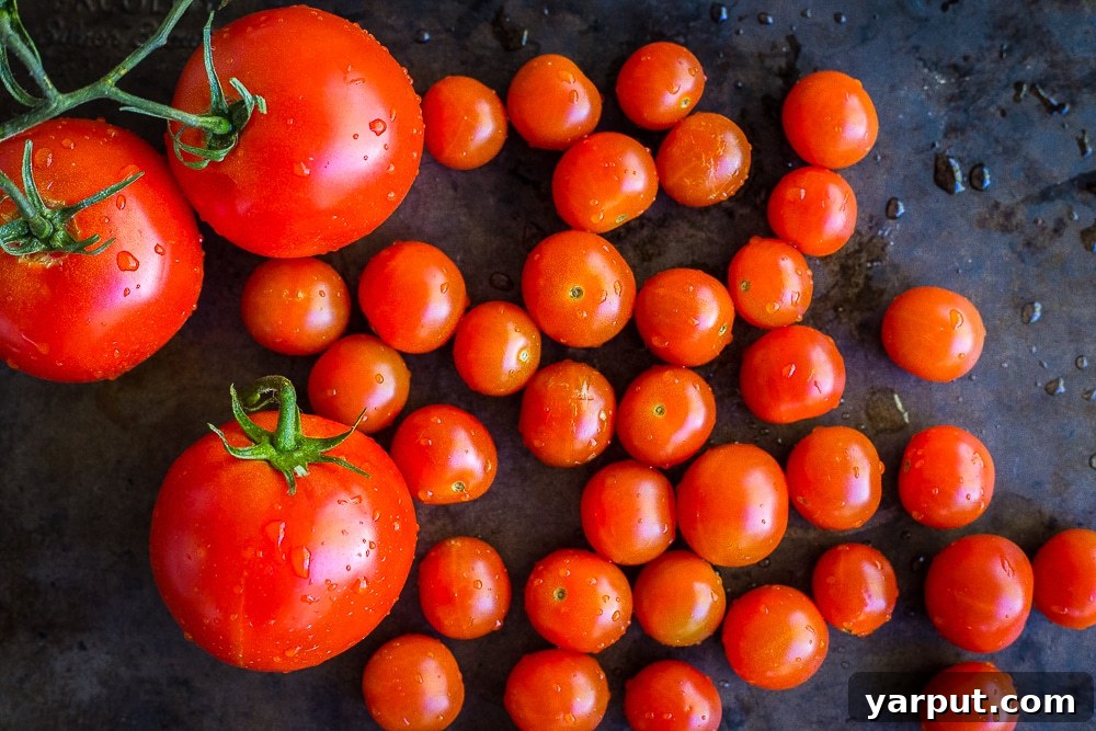 A vibrant selection of fresh ingredients for gazpacho, including cherry tomatoes, large vine-ripe tomatoes, cucumber, red bell pepper, and onion, arranged beautifully on a dark background.
