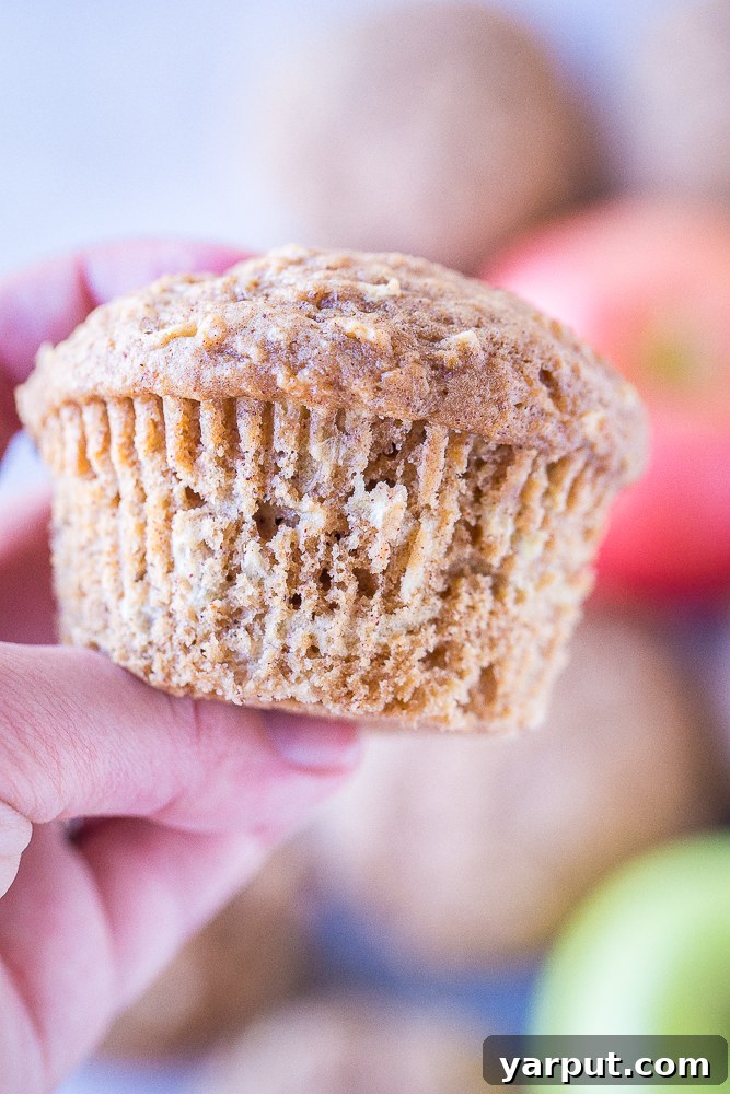 Close up of Best Healthy Apple Cinnamon Muffins