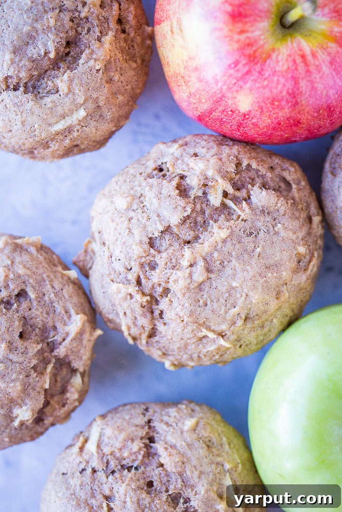 Close up of Best Healthy Apple Cinnamon Muffins on a table with apples