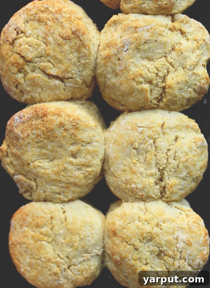67 Vegan Holiday Recipes: Appetizers, Side Dishes, Salads, Main Courses, and Desserts 15 Best Vegan Biscuits on a baking sheet