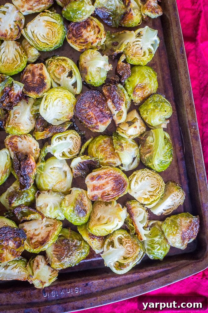 67 Vegan Holiday Recipes: Appetizers, Side Dishes, Salads, Main Courses, and Desserts 18 Best Simple Roasted Brussels Sprouts in a bowl