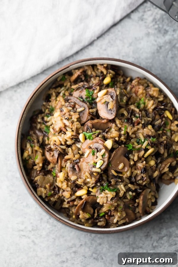 67 Vegan Holiday Recipes: Appetizers, Side Dishes, Salads, Main Courses, and Desserts 23 Instant Pot Wild Rice Pilaf with Pine Nuts in a bowl
