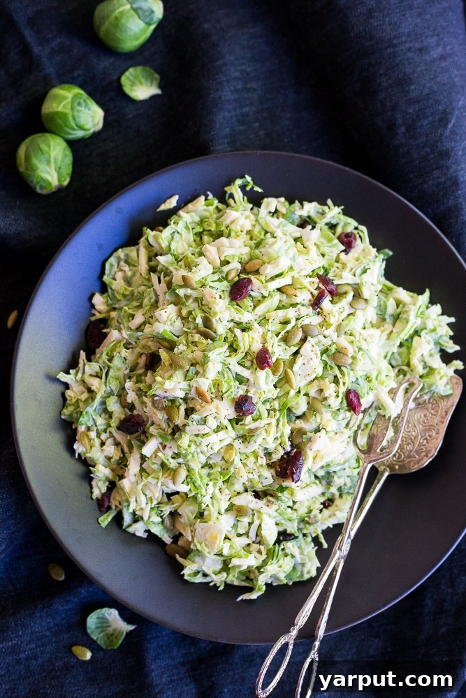 67 Vegan Holiday Recipes: Appetizers, Side Dishes, Salads, Main Courses, and Desserts 30 Brussels Sprout Slaw with Dried Cranberries and Pepitas