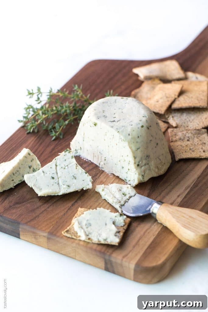 67 Vegan Holiday Recipes: Appetizers, Side Dishes, Salads, Main Courses, and Desserts 6 Herbed Cashew Cheese with crackers and herbs