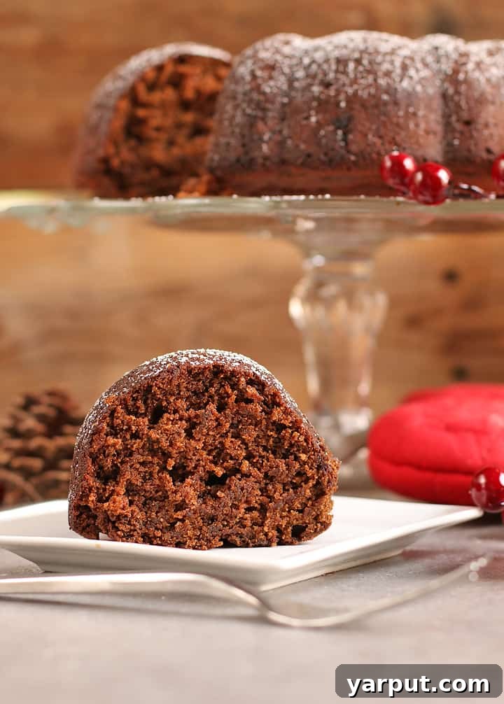 67 Vegan Holiday Recipes: Appetizers, Side Dishes, Salads, Main Courses, and Desserts 65 Vegan Gingerbread Cake with a dusting of powdered sugar