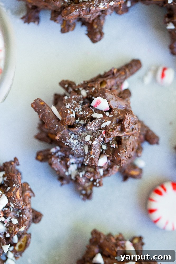 67 Vegan Holiday Recipes: Appetizers, Side Dishes, Salads, Main Courses, and Desserts 66 3 Ingredient Chocolate Peppermint Haystacks on a plate