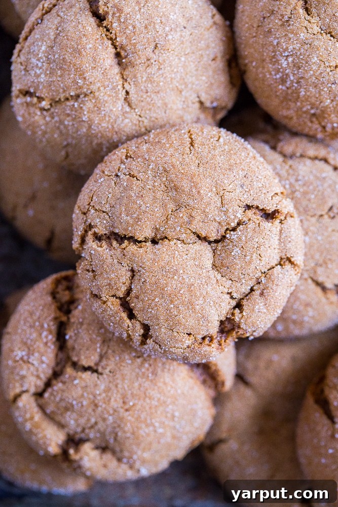 Spiced Vegan Molasses Cookies: Perfectly Soft and Chewy 4 Close up of Vegan Soft and Chewy Molasses Cookies, showing texture and sugar coating